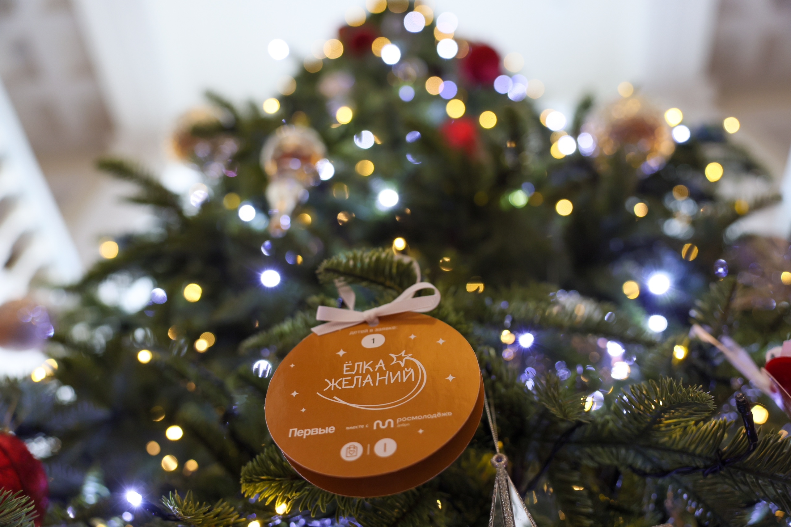 Движение Первых запускает приём заявок на участие в акции «Ёлка желаний»
