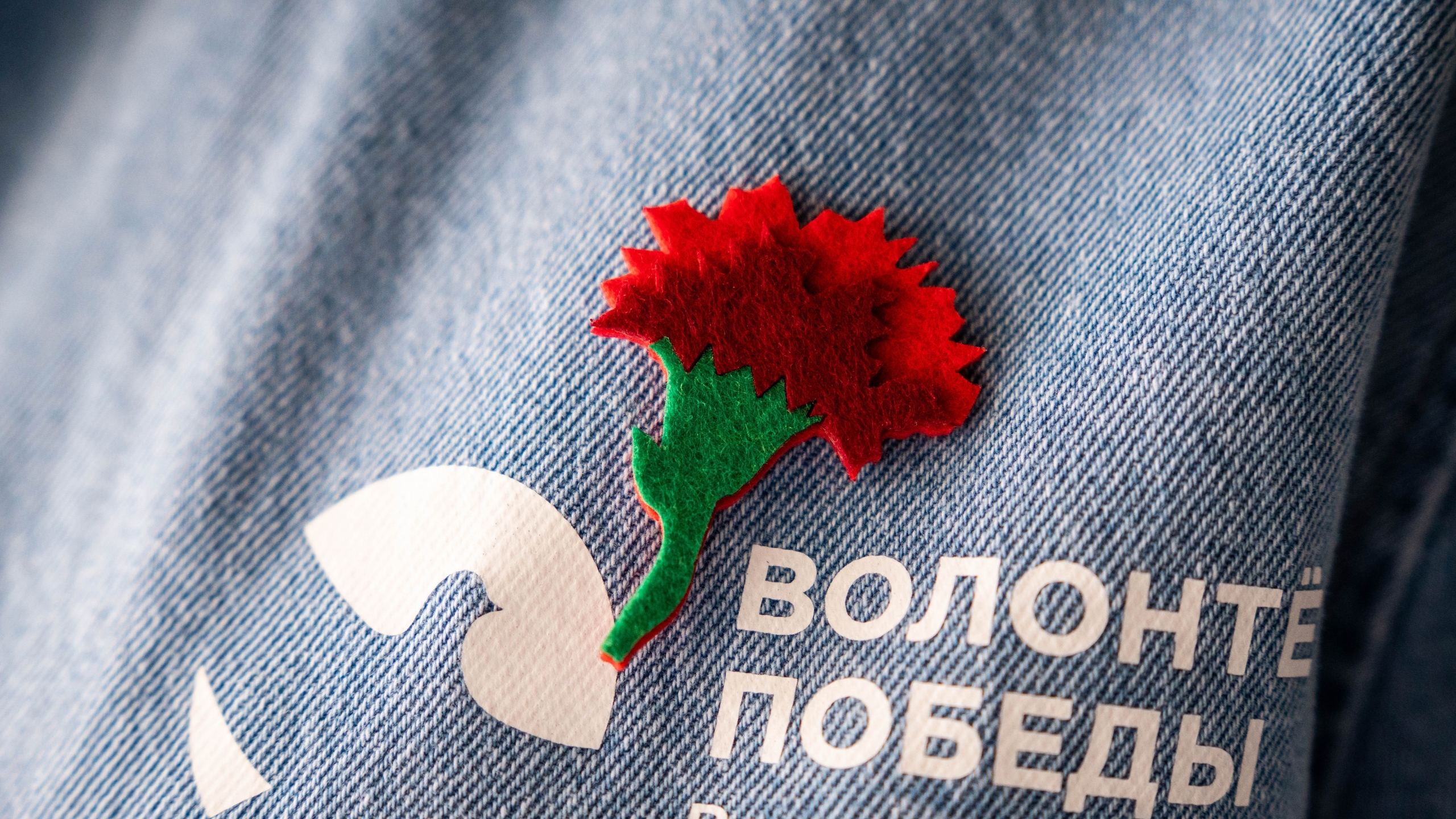 Акция «Красная гвоздика»: помочь ветеранам в Красноярском крае может каждый